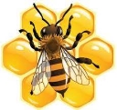 Идеи на тему «Мед, бджоли» (11) | пчелиная тематика, мед, пчелинное  искусство
